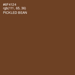 #6F4124 - Pickled Bean Color Image